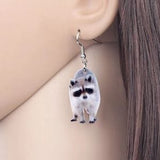 Ali Express Fashion Earrings Acrylic Animal Earrings Raccoon Gator Skunk Hedgehog Jaguar