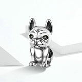 aliexpress Charms Dog Charm Collection Pandora Style Charms Sterling Silver Boston, Frenchie, Chi, Schnauzer, Puppy