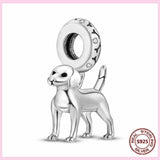 aliexpress Charms Dog Charm Dog Charm Collection Pandora Style Charms Sterling Silver Boston, Frenchie, Chi, Schnauzer, Puppy