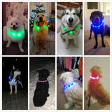 AliExpress PET LED Lighted Collars to Keep Pets SAFE at Night!  Rechargeable *