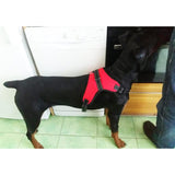 AliExpress PET Red Heavy Duty Dog Harness *