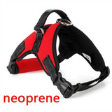 Red Heavy Duty Dog Harness *