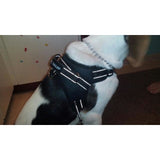 AliExpress PET Red Heavy Duty Dog Harness *