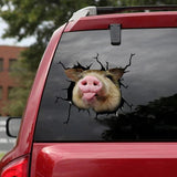 AliExpress Sticker/Bumper Sticker Pigs Breaking Out Car Sticker Decal for Window