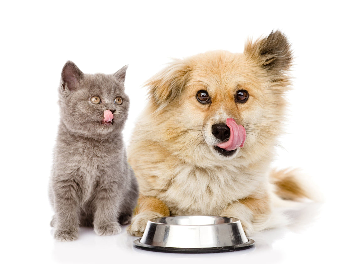 animal health PET Pet Pantry: Animal Treats Buy a Bag of Food for Hungry Pets