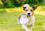 animal health PET Pet Pantry: Animal Treats Buy a Bag of Food for Hungry Pets