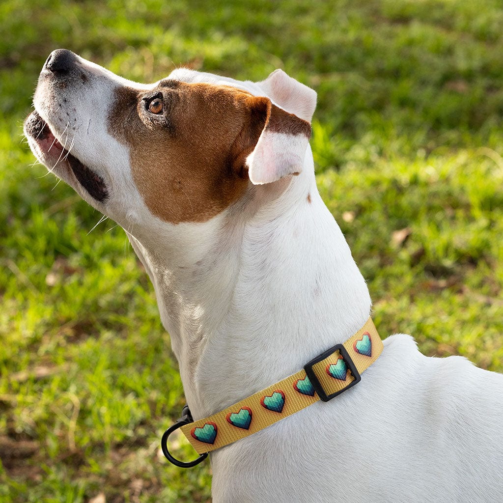Video Game Inspired Pet Collar - Heart Dog Collar - Icon Dog Collar
