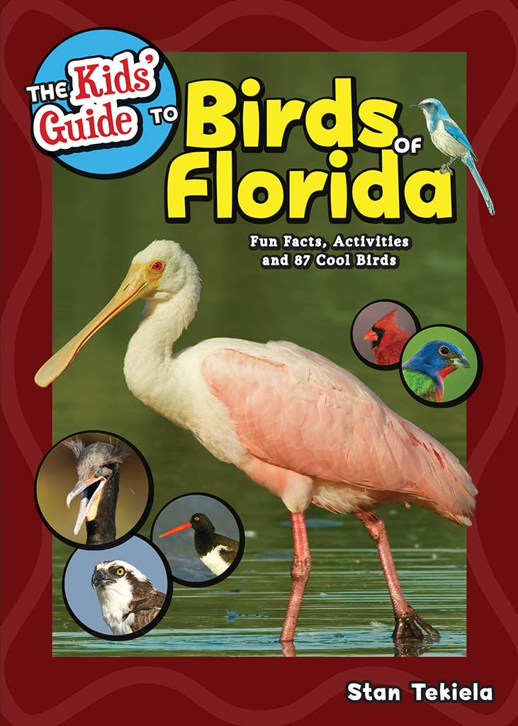 Kids Guide to Birds of Florida Book-Beautiful Photos!