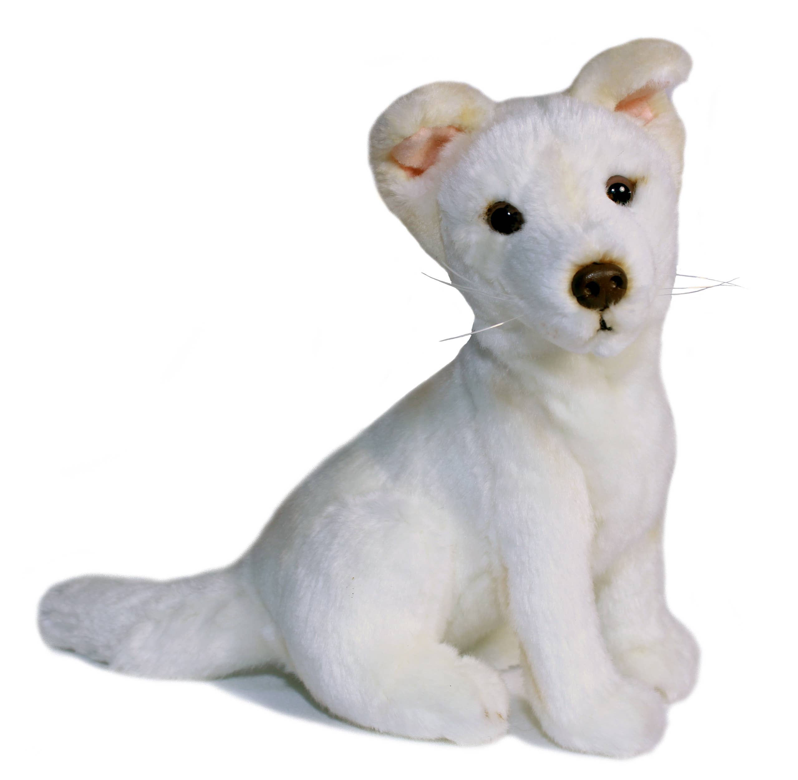 Creamy White Australian Dingo Small Size 25cm/10" Realistic Stuffed Animal