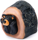 Bearfoots Hidden Treasure Bear Natural Black 3 x 3 Hand Cast Resin Stone Decorative Box