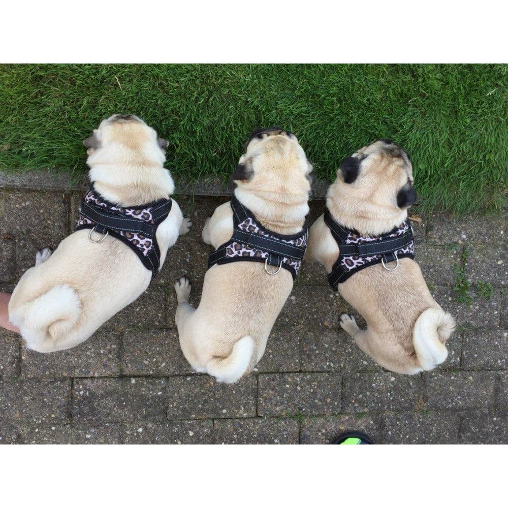 Dog Harnesses, High Quality-Reflective, Great for Large Dogs!