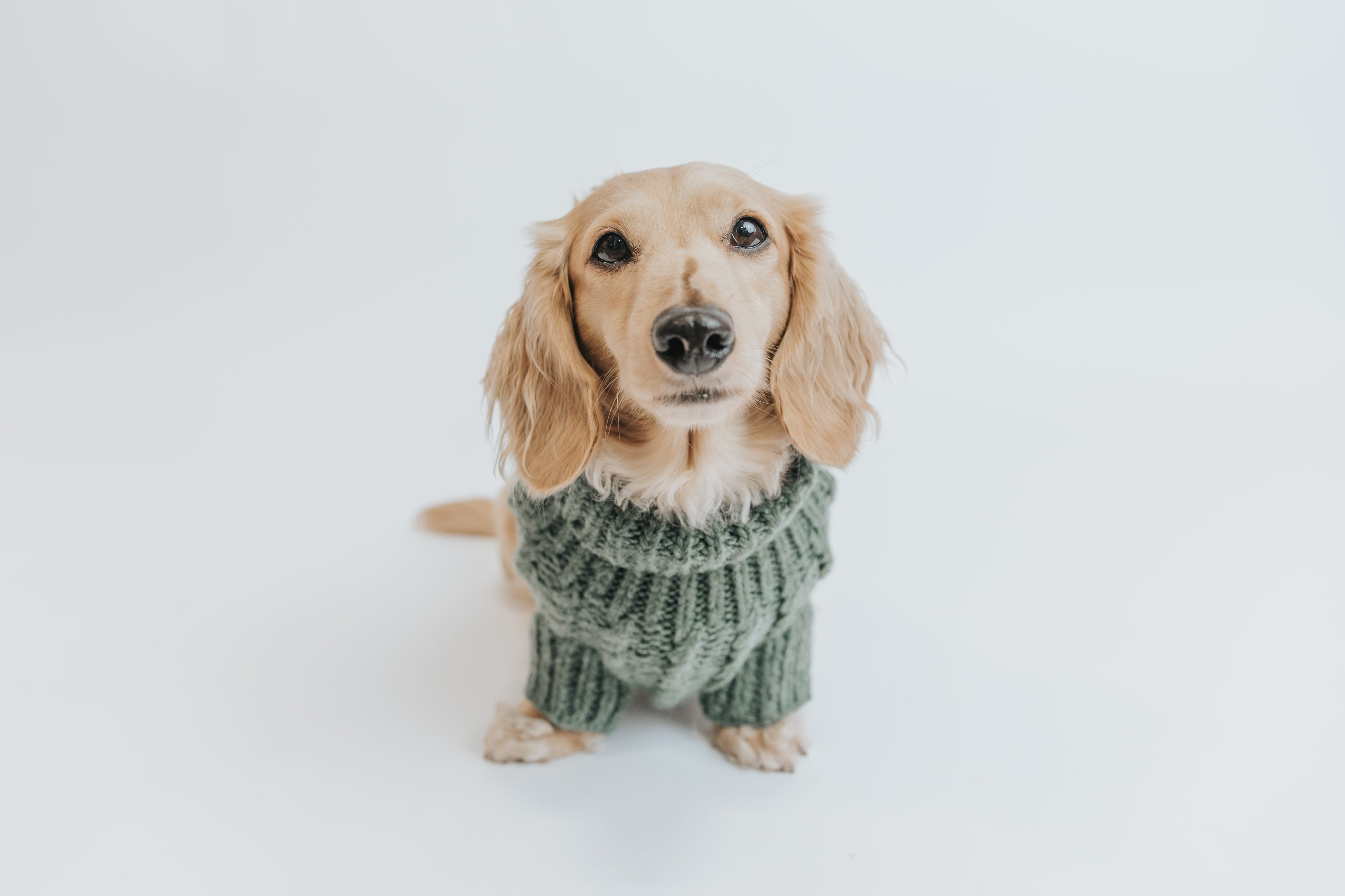 Cable Knit Sweater - Green