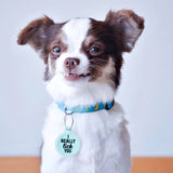 FAIRE - Bad Tags PET Pet Dog Tags Made in the USA, Recycled Metal, Glow in Dark, Waterproof *