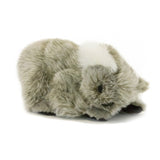 Faire: Bocchetta Plush Toys Plush Animals Kip the Koala