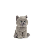 Grey British Shorthair Kitten