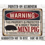 Faire-Lone Star Art Novelty Signs Lrg Property Protected By Mini Pig - Made in the USA Metal Sign