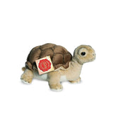 Faire-Teddy Hermann Plush Turtle Realistic Plush Small Tortoise 20 cm - plush toy by Teddy Hermann