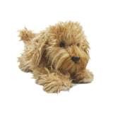 Red Oodle-Poodle Cross Puppy Size 28cm/11