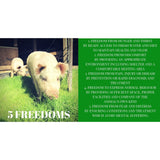 Give the GIFT of Compassion with a Rooterville Gift Card! - The Pink Pigs, A Compassionate Boutique