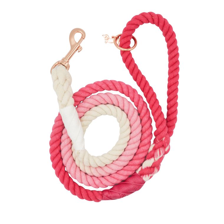 Rope Leash - Ombre Pink
