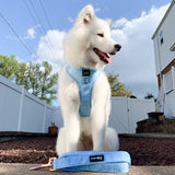 Adjustable Pet Harness - Blumond Light Blue