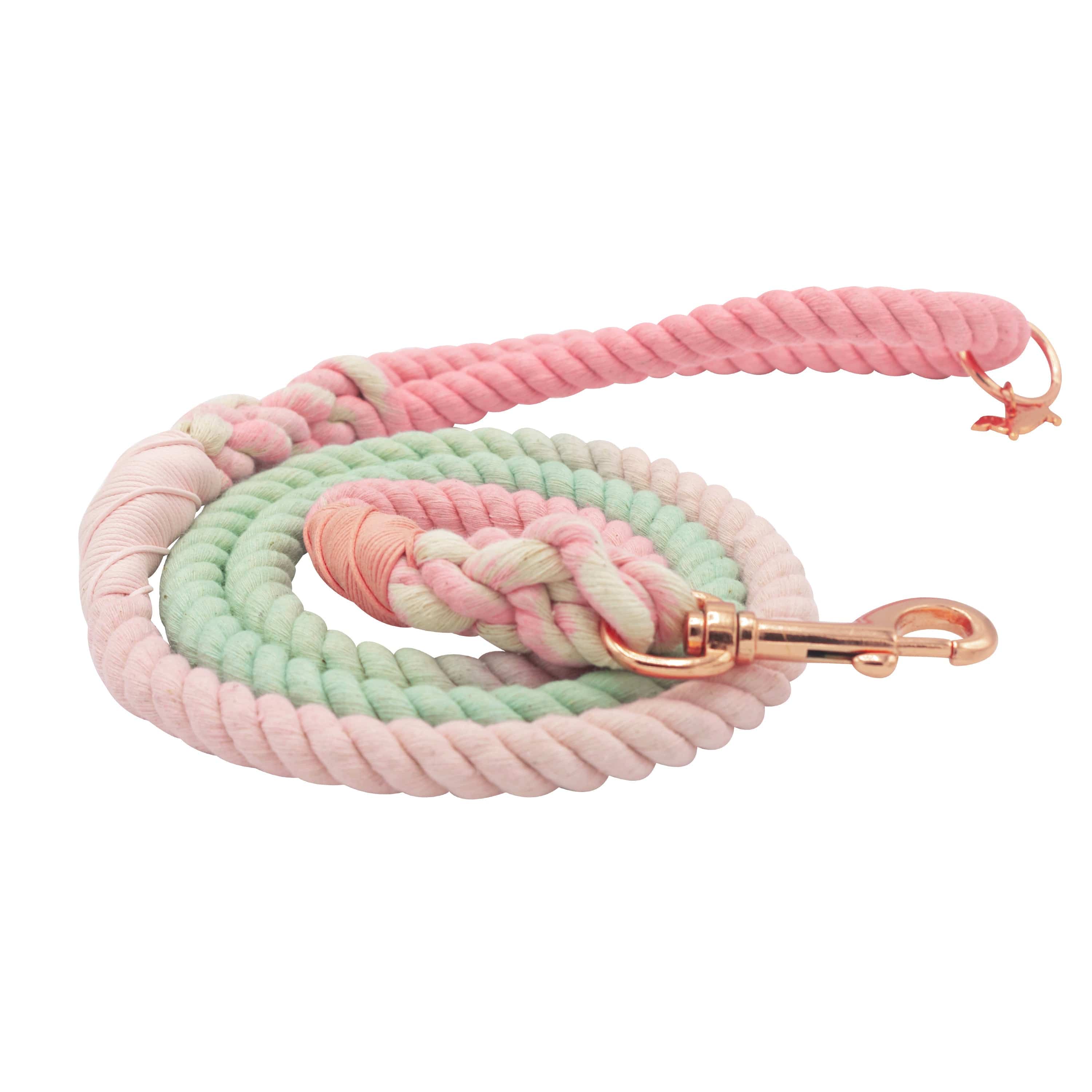 Rope Leash - Sherbet by Sassy Woof
