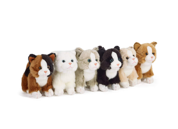 Itty Bitty Little Kitty Cats Plush Toys-Eco Friendly! – The Pink Pigs