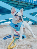 Adjustable Pet Harness - Blumond Light Blue