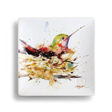 One Coast - Demdaco Plates Nature & Bird Snack Plates Collection - by Artist Dean Crouser -Magnificent! *