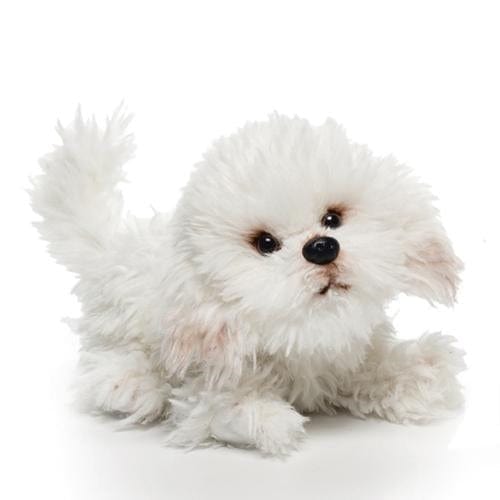 One Coast-Demdaco Plush Animals Bichon SM Plush Dogs: Bulldog, Bichon, French Bulldog-Non Sporting Breeds