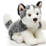 One Coast Plush Animals Husky SM Plush Working Dogs:  Bernese, Dalmatian, Husky, Shiba Inu, Chow, Dobie, Rottie