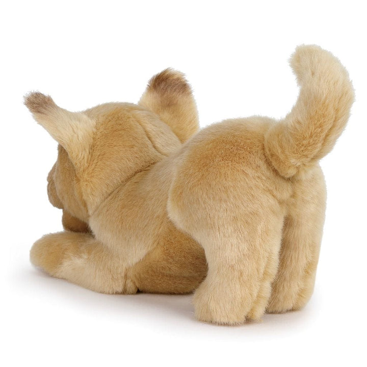 One Coast Plush Animals Plush Mixed Breeds: Maltipoo, Terrier Mix, & Labradoodles