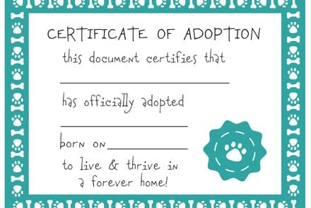 One Coast Plush Animals Plush Mixed Breeds: Maltipoo, Terrier Mix, & Labradoodles