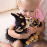 Plush Toy Dogs: Yorkie, Chihuahua, Pug Demdaco