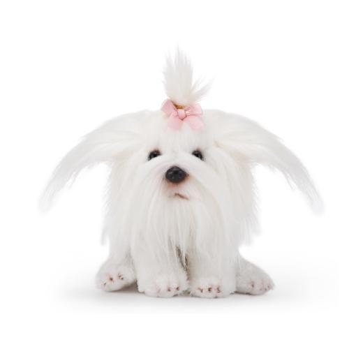 Plush Toy Dogs: Yorkie, Maltese, Chihuahua, Pug