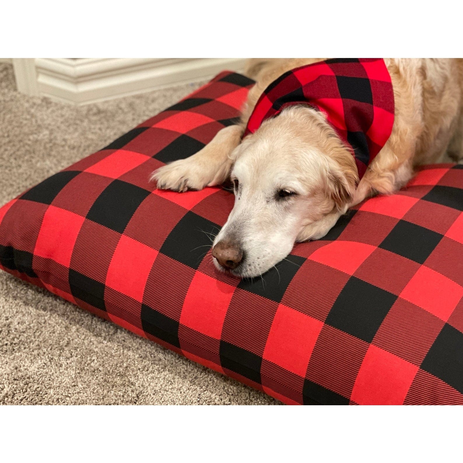 BEST Pet Bed, Made in the USA! Black or Red Buffalo Check - The Pink Pigs, Animal Lover's Boutique