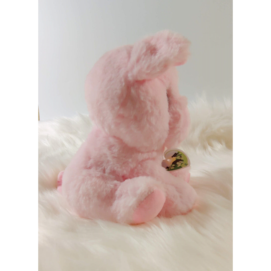 Rooterville A Sanctuary Inc Plush Animals Plush Pig "STELLA"  Rooterville Animal Sanctuary's Inspiration