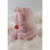 Rooterville A Sanctuary Inc Plush Animals Plush Pig "STELLA"  Rooterville Animal Sanctuary's Inspiration