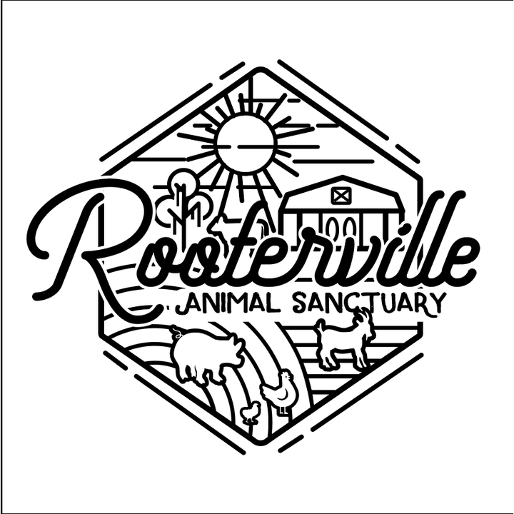 The Pink Pigs Sticker/Bumper Sticker Rooterville Retro Cool Sticker!  Share your love for the BEST sanctuary in the world with the world!
