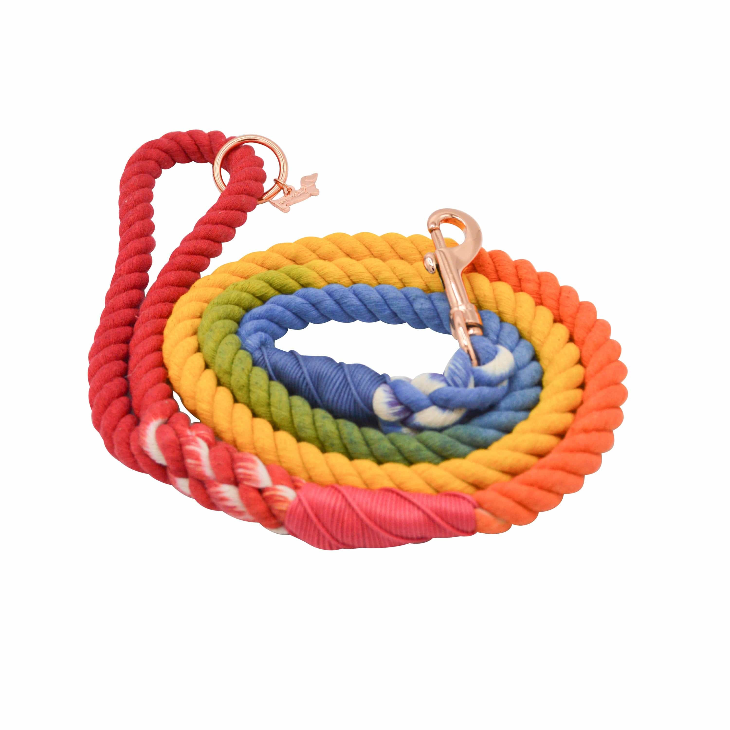 Rope Leash - Taste The Rainbow by Sassy Woof