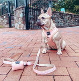 Adjustable Dog Harness - Pinot
