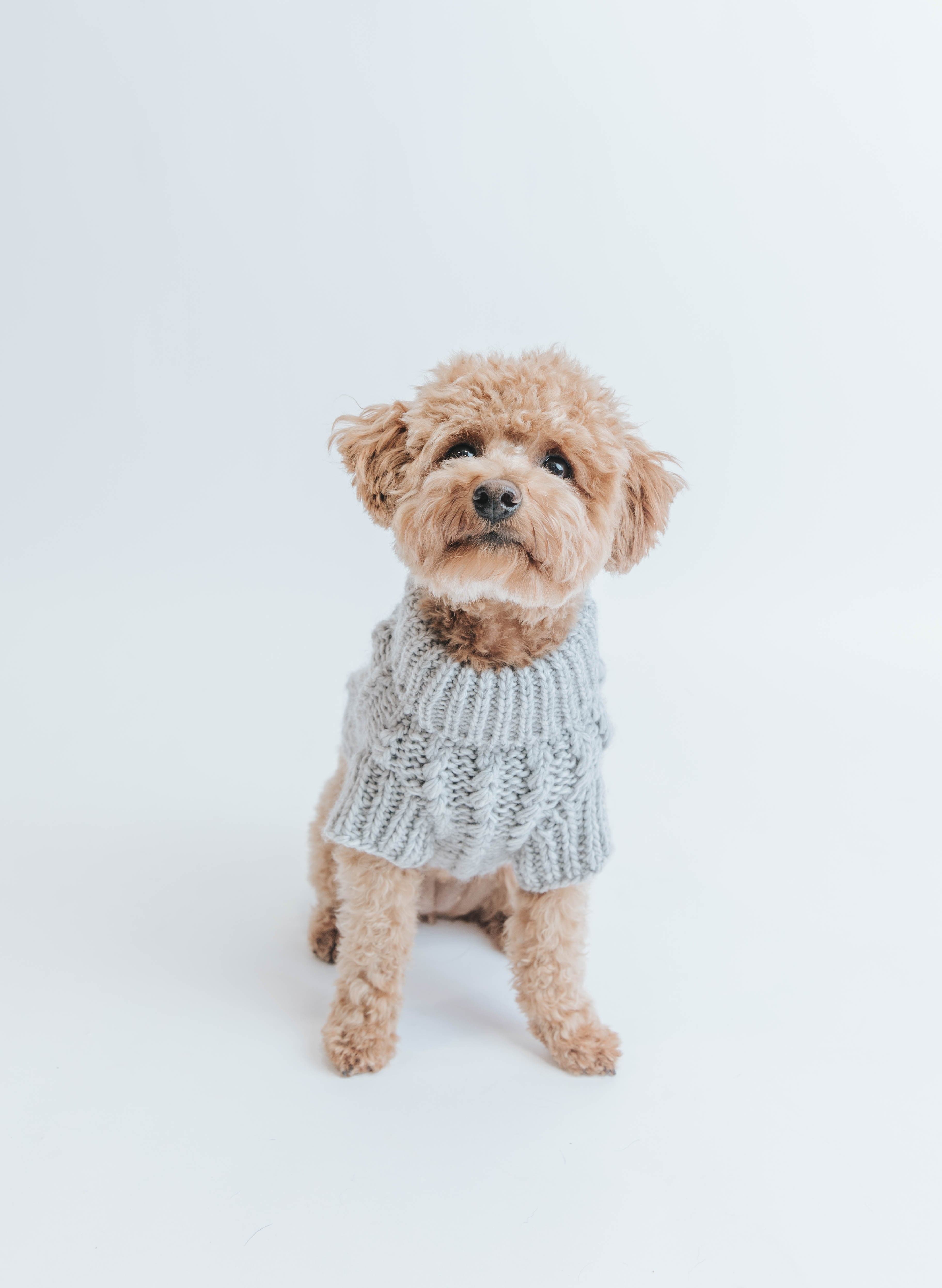 Cable Knit Pet Sweater - Gray
